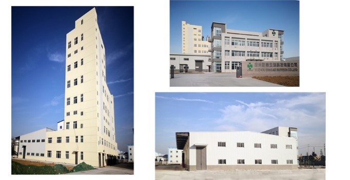 Singao (Xiamen) Agribusiness Development Co., Ltd. производственная линия завода